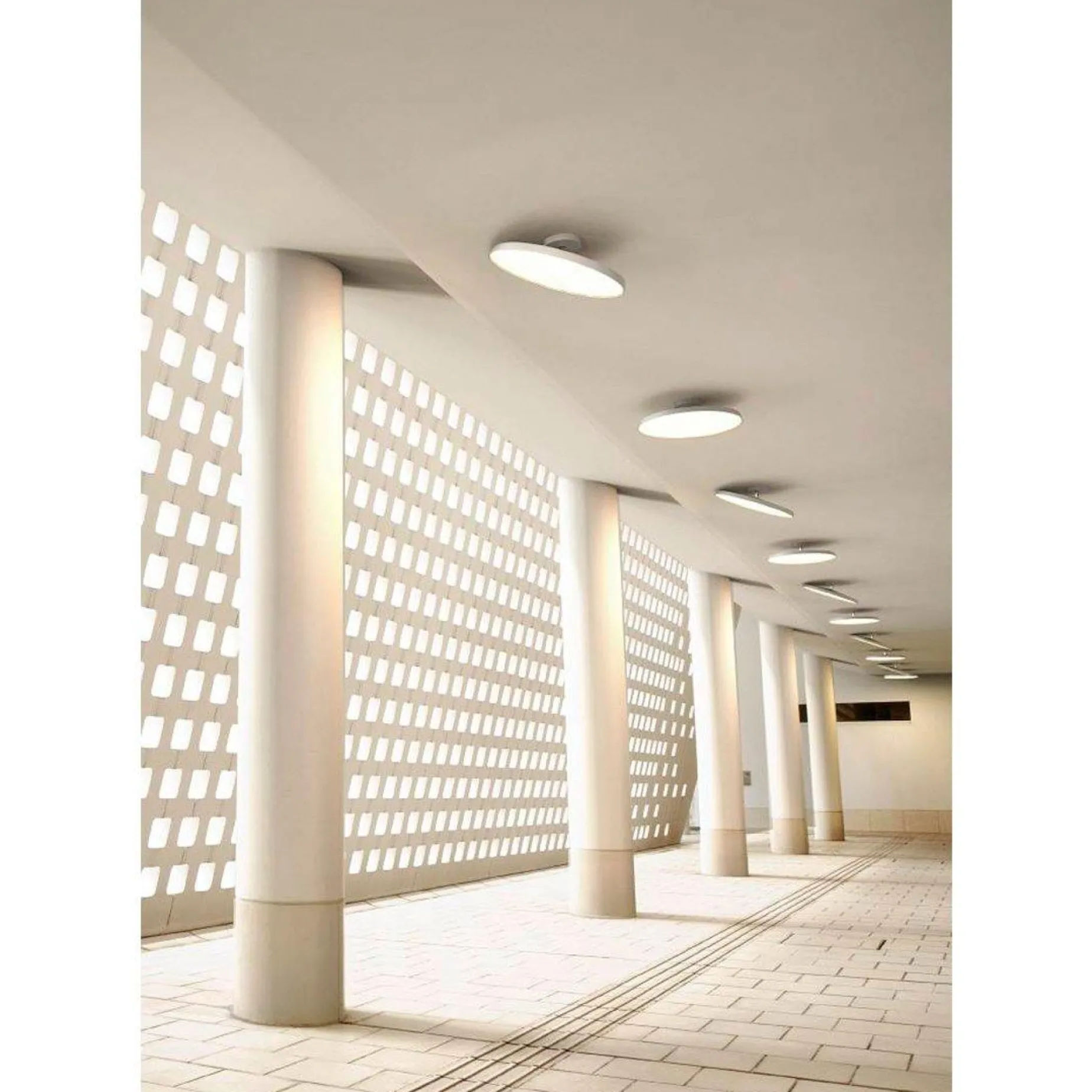 Kaito Pro 40 | white