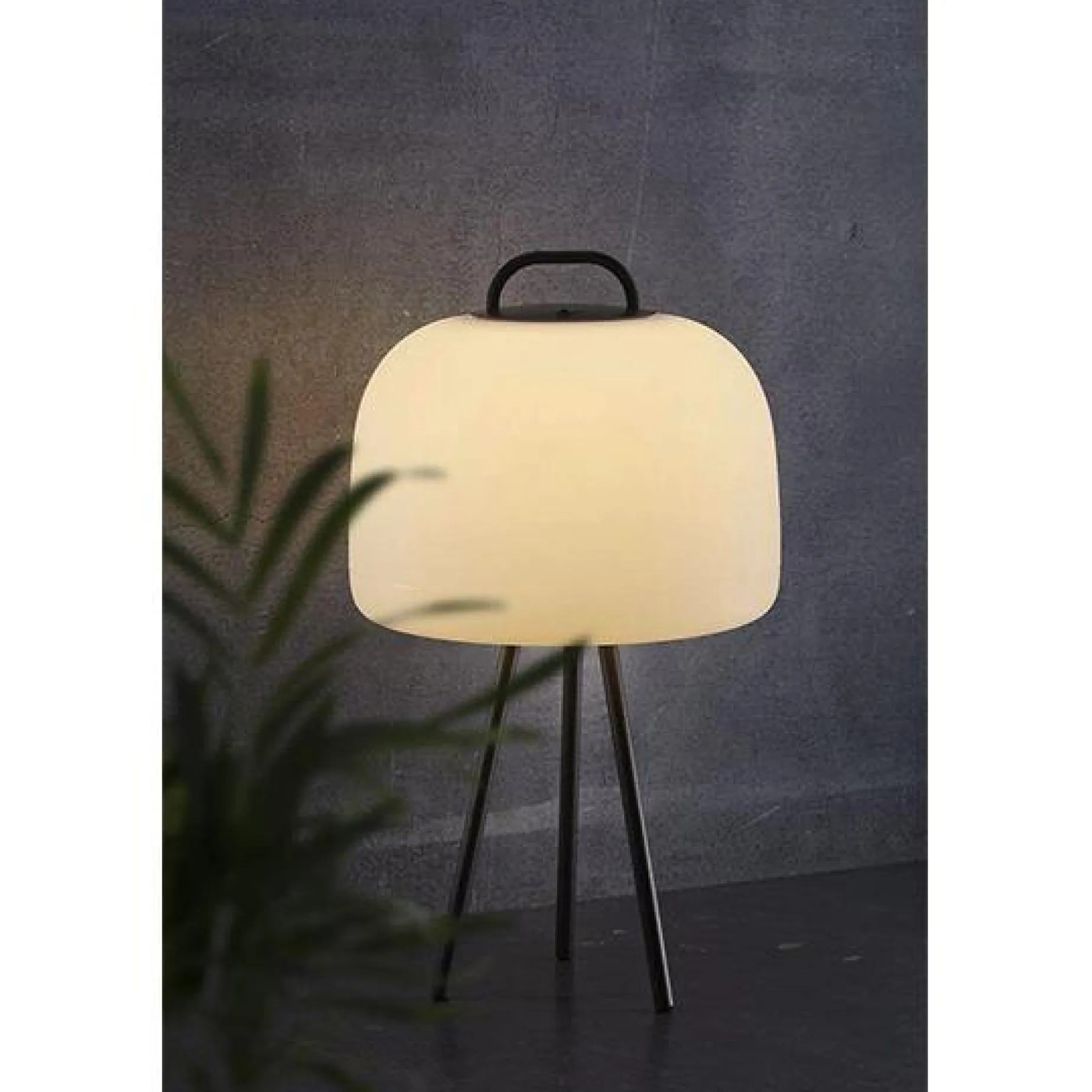 Kettle portable 22 | spike