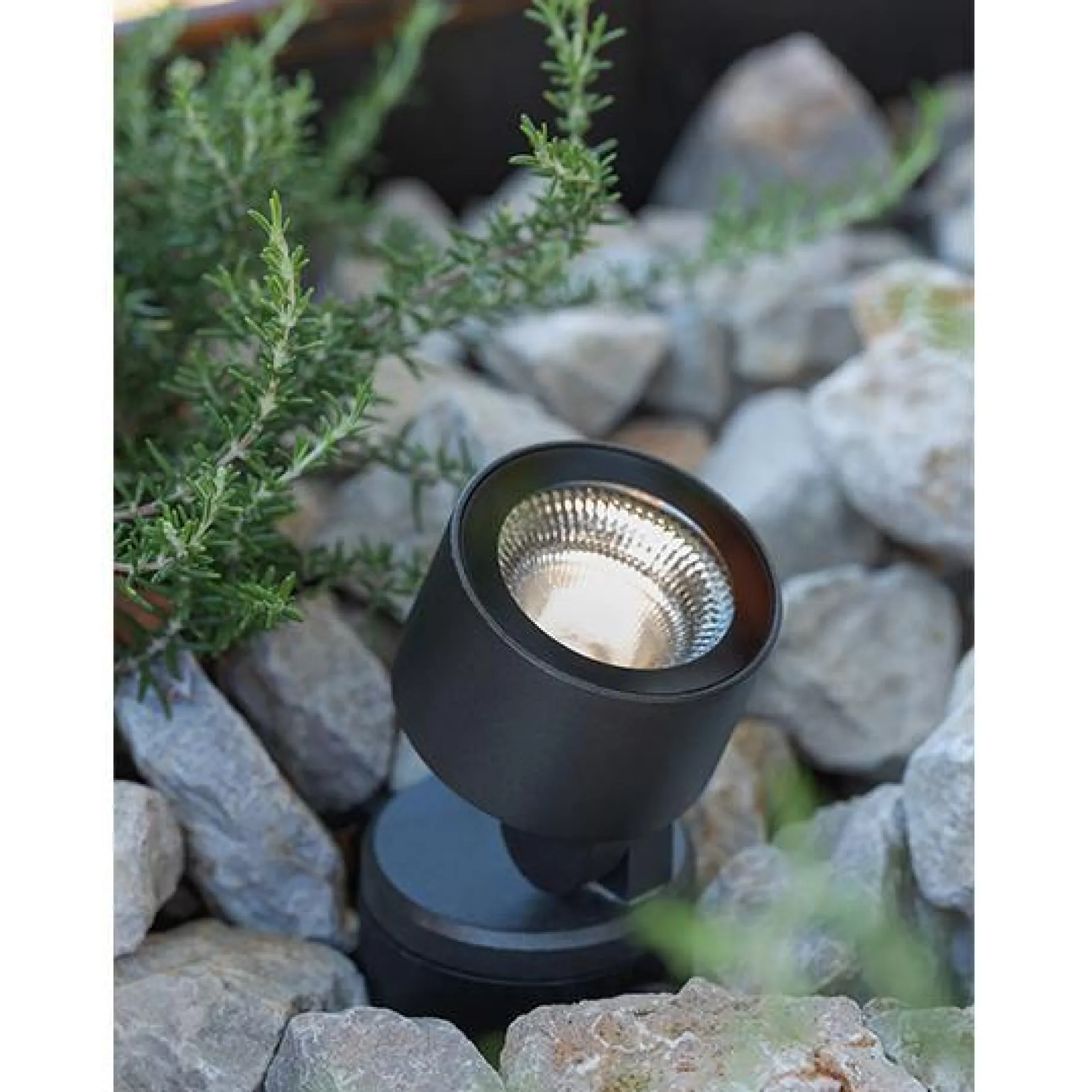 Noa 100 | grey anthracite