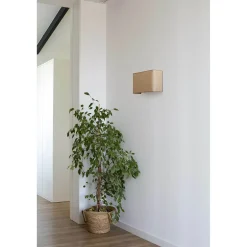 Otton RCT vertical wall | jute