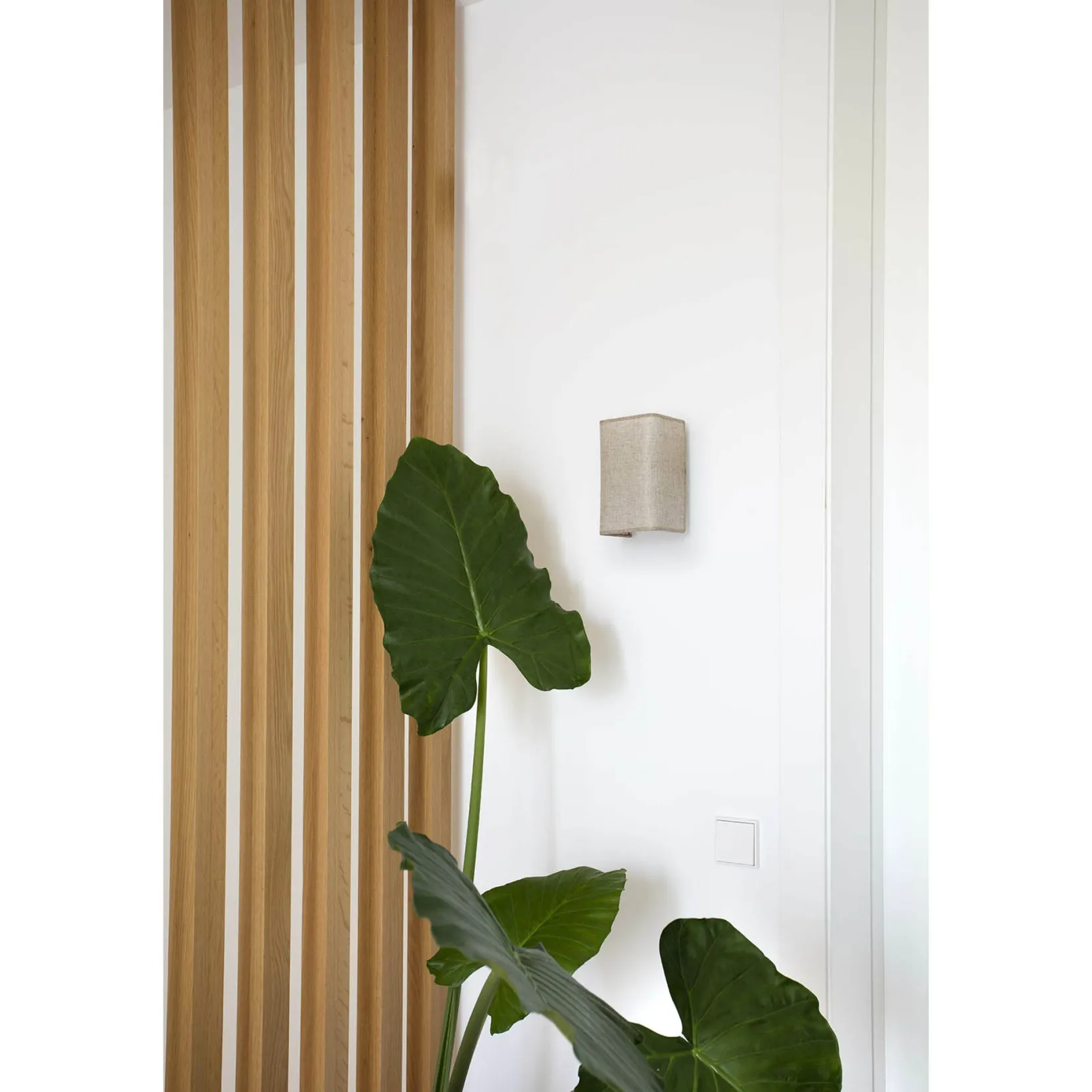 Otton RND 2L vertical wall | jute