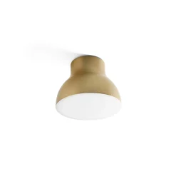 Passepartout JH11 | gold