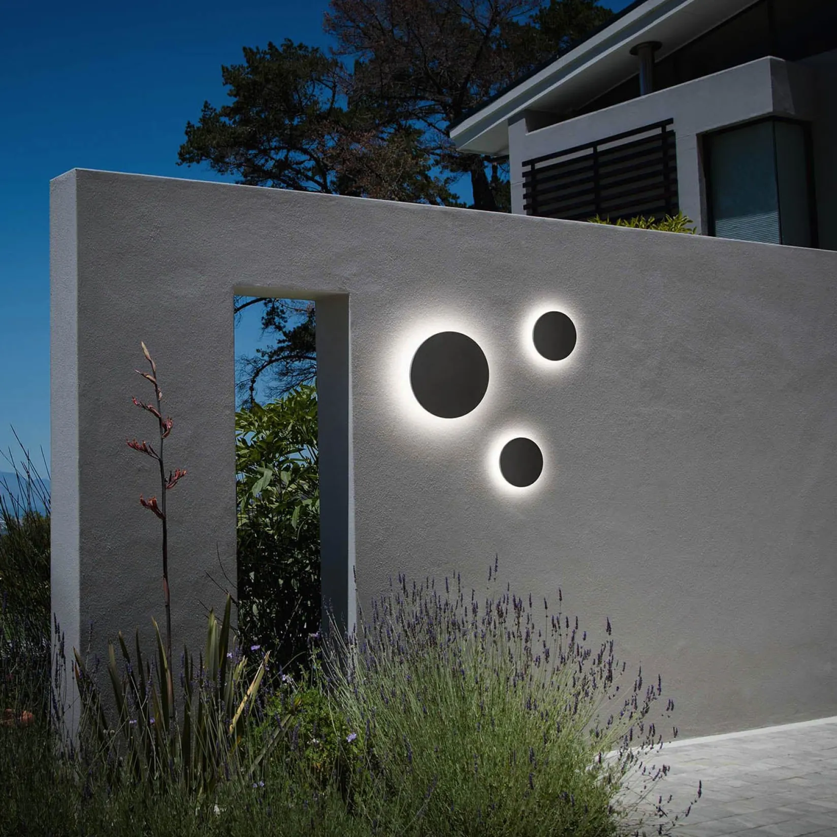 Punto disc wall ⌀30-⌀18 | black