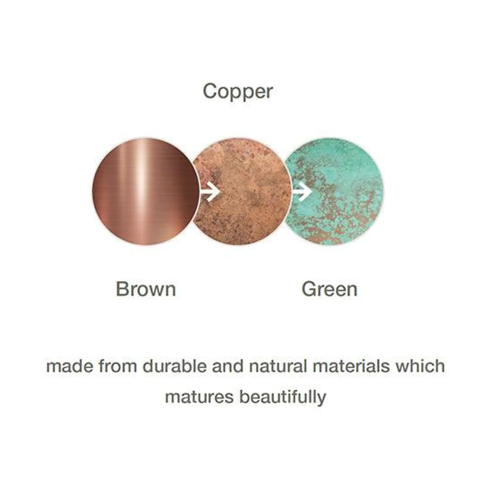 Scorpius 20 | copper