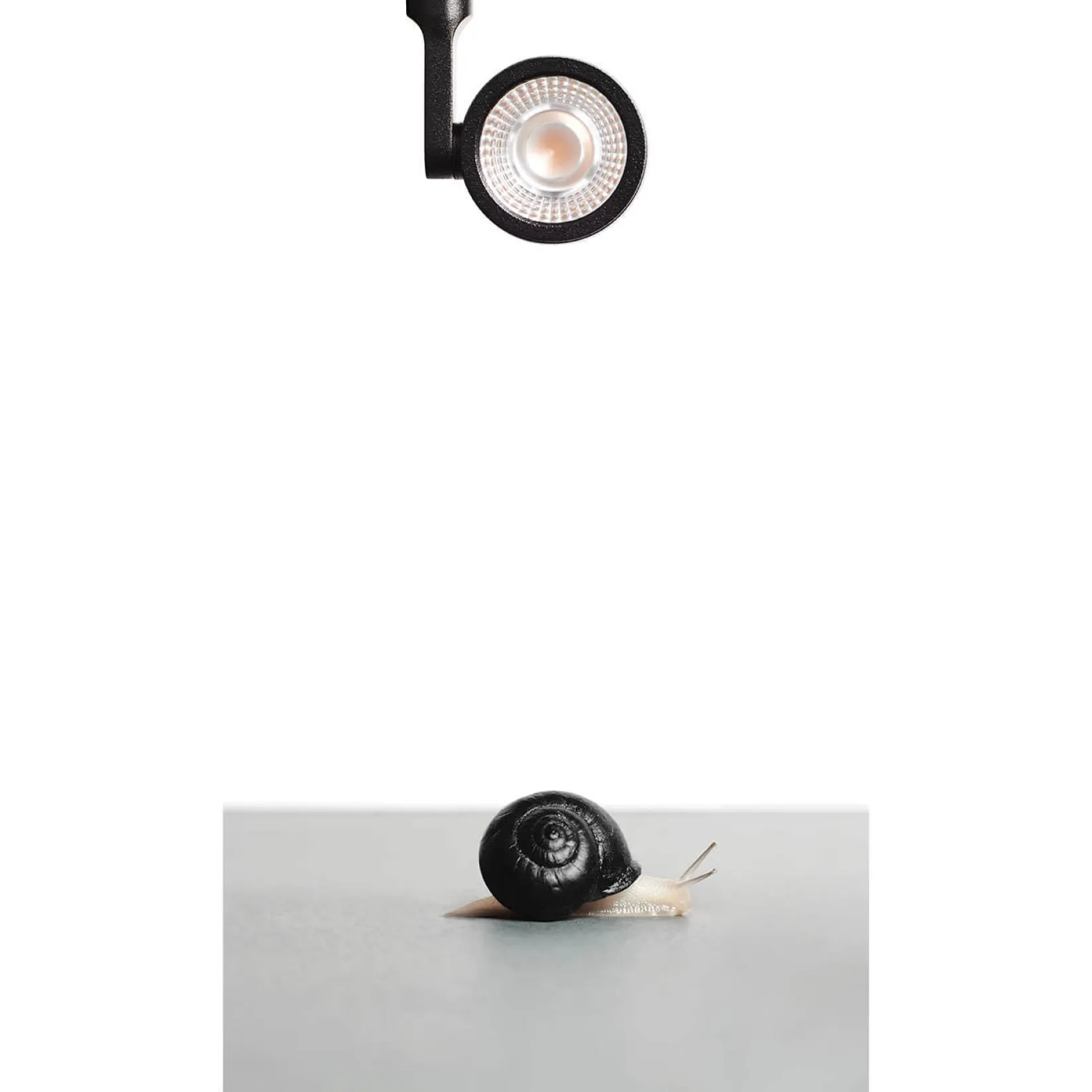 Six micro recessed | black