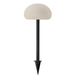 Sponge portable outdoor | 20 Spike