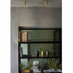 Stan ceiling | satin gold