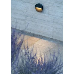 Team round wall light | black