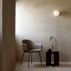TR Bulb ceiling wall lamp | polished steel