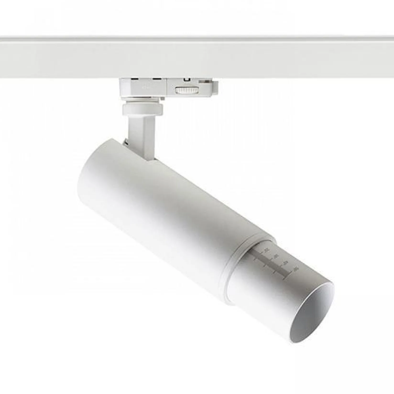 Zuma 3C dim | white